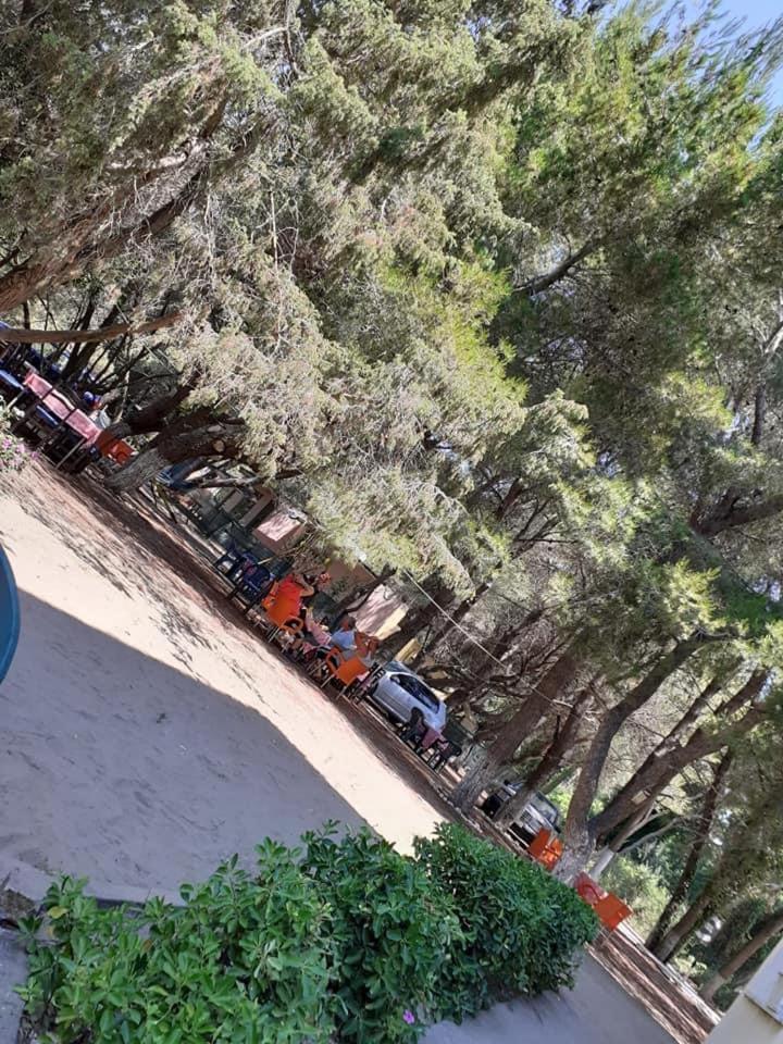 Divjaka Park المظهر الخارجي الصورة